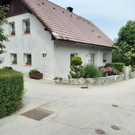 Appartement Apartmaji Magda à Zgornje Gorje Extérieur photo