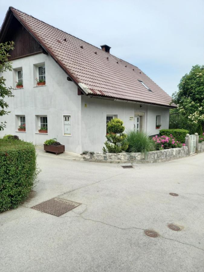 Appartement Apartmaji Magda à Zgornje Gorje Extérieur photo
