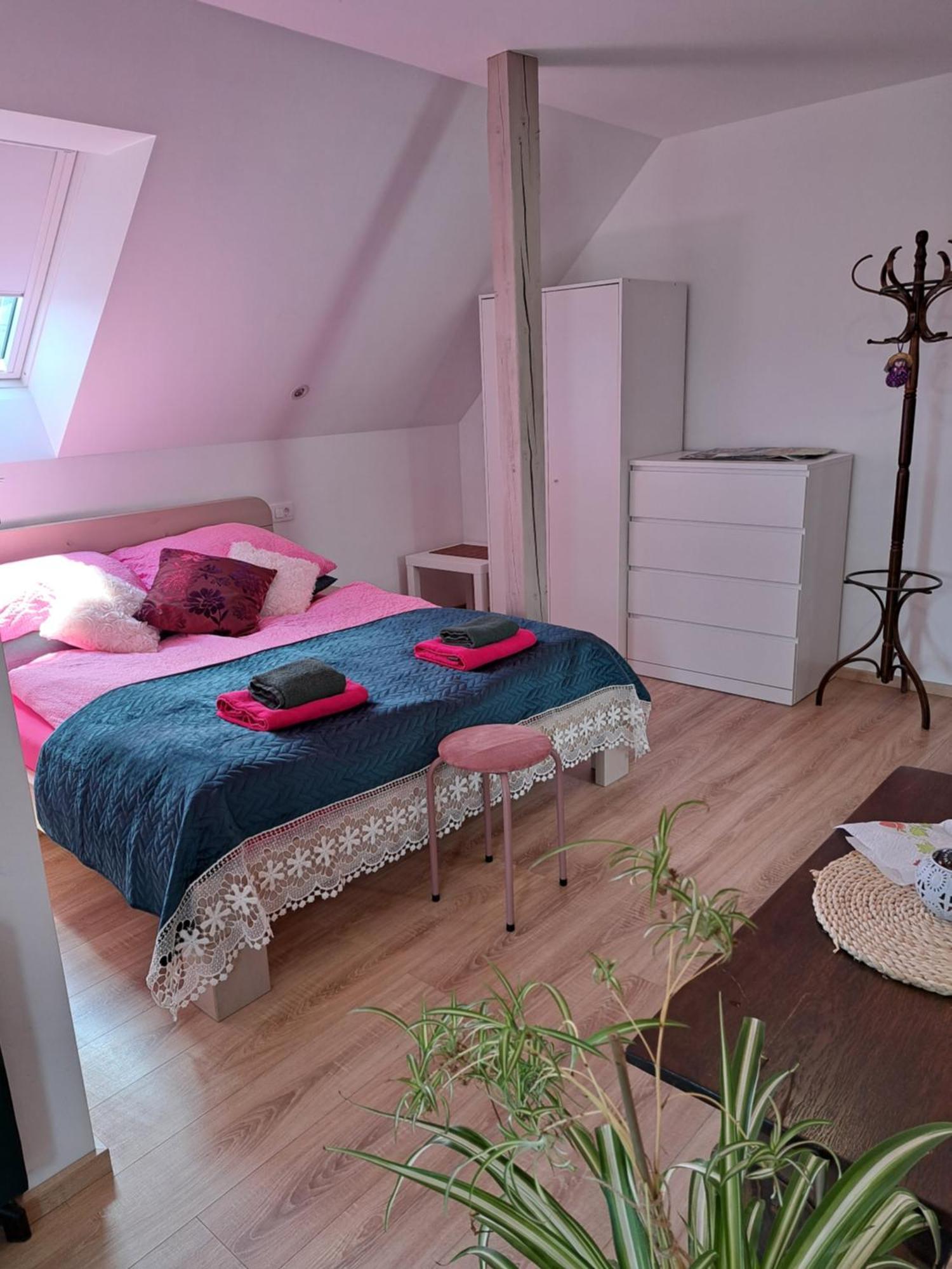 Appartement Apartmaji Magda à Zgornje Gorje Extérieur photo