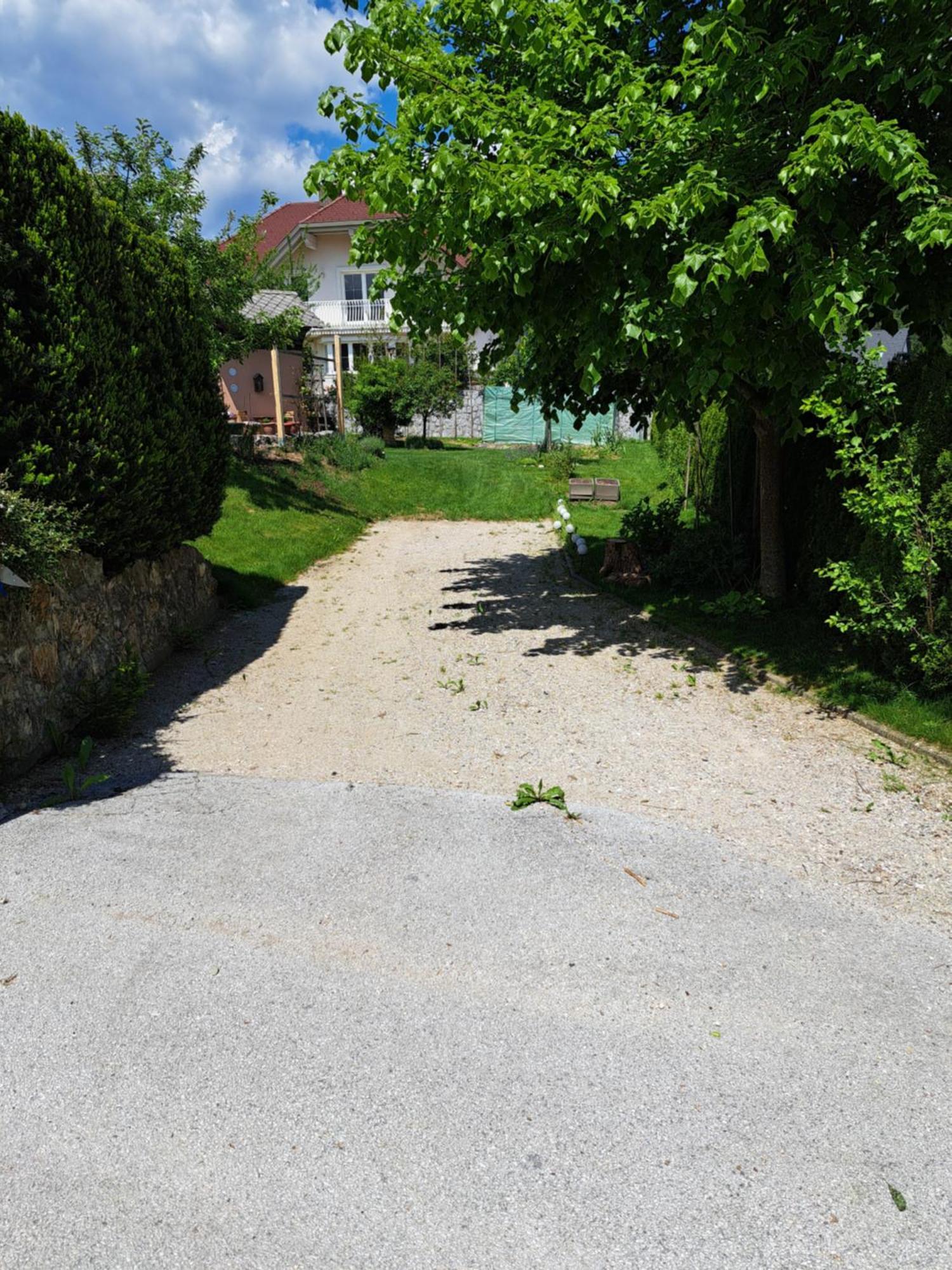 Appartement Apartmaji Magda à Zgornje Gorje Extérieur photo
