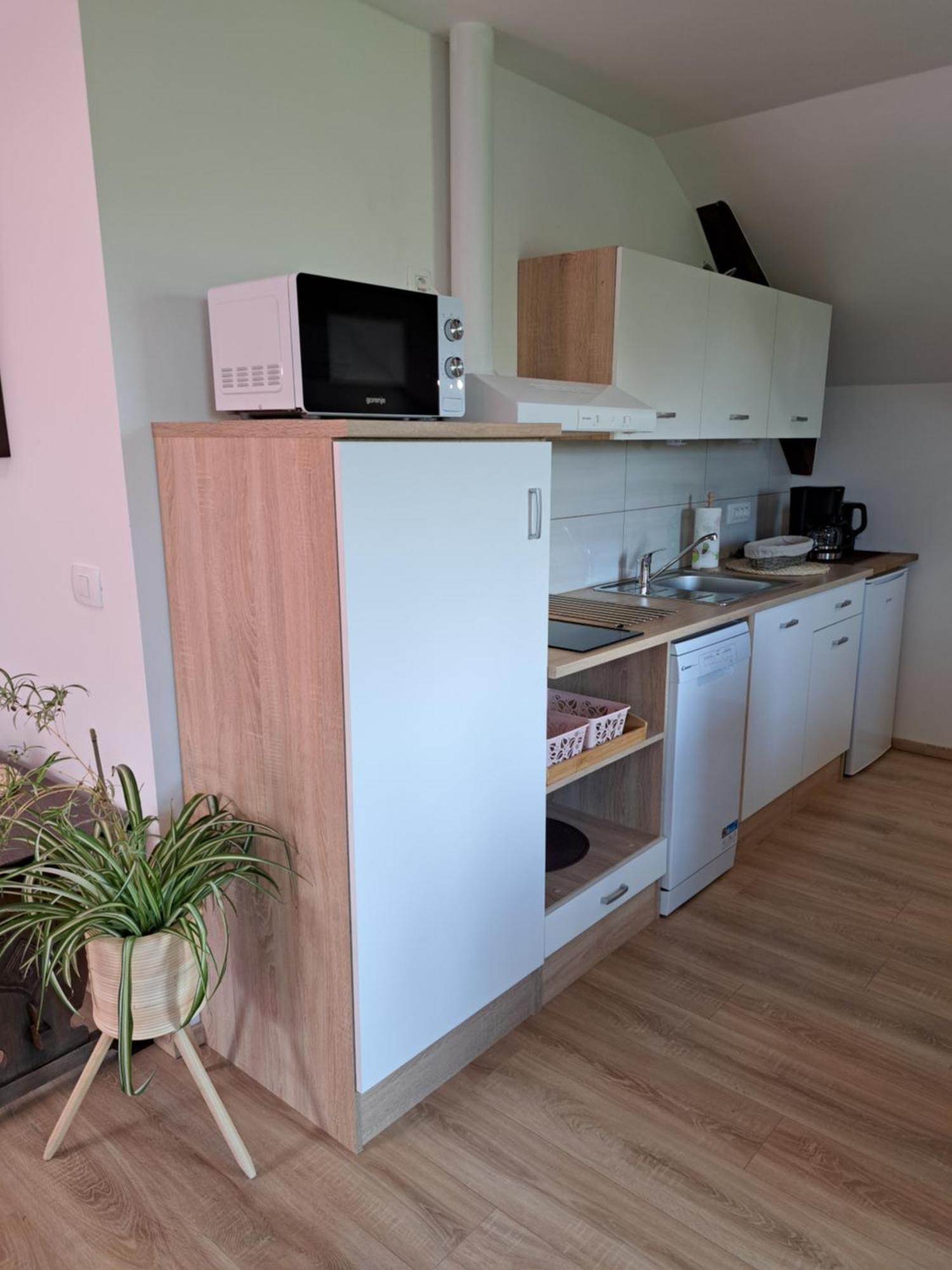 Appartement Apartmaji Magda à Zgornje Gorje Extérieur photo